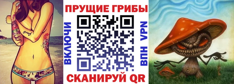 Галлюциногенные грибы прущие грибы  Купить закладки  Талдом 