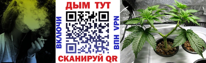 Конопля план  Купить где  Талдом 